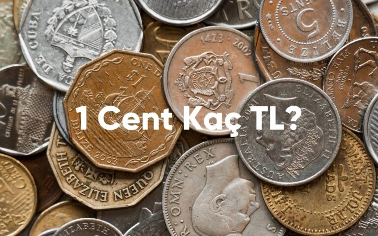 1 Cent kaç TL - 2024